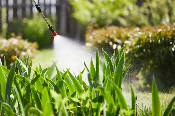 24/7 Emergency Termite Control experts in Lewisport, KY
