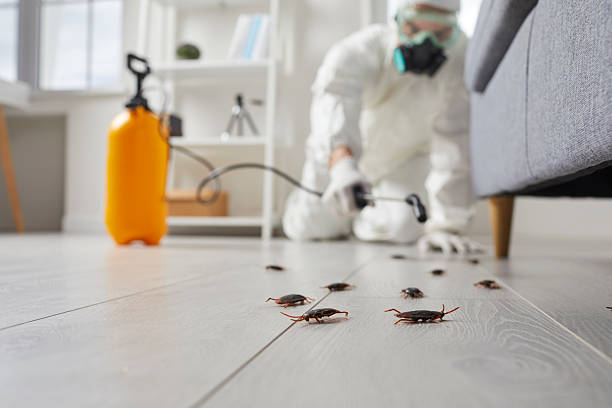 Trusted Cockroach Control service in Lewisport, KY - Nex Pest Control