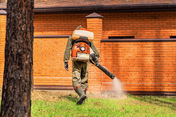 Trusted Ant Control service in Lewisport, KY - Nex Pest Control